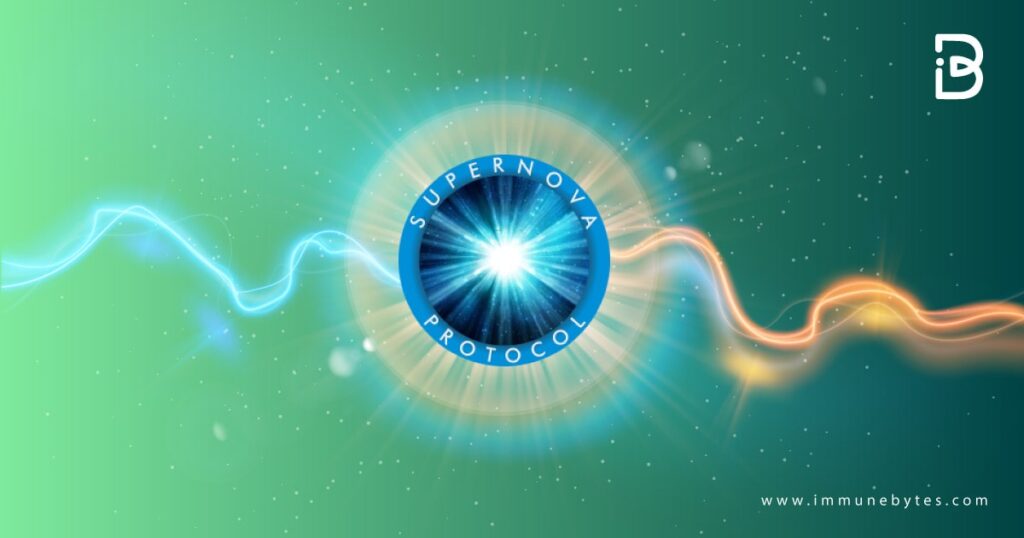Introduction to Supernova: An Explosive Vision of the Secret Network