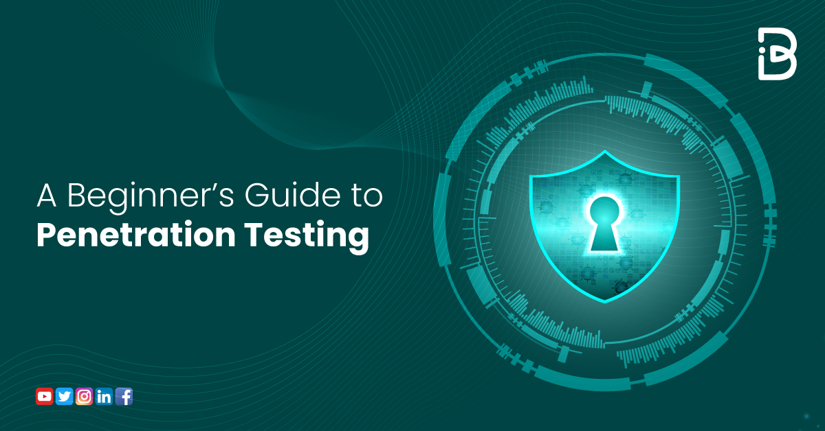 A Beginner’s Guide to Testing ImmuneBytes