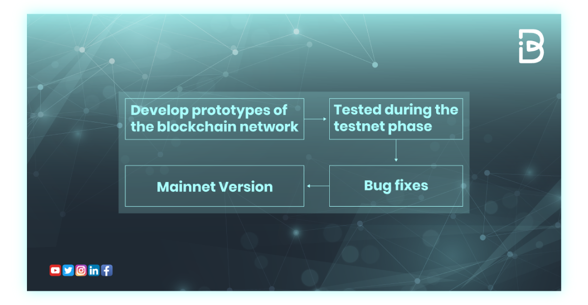 Mainnet Vs Testnet: What's the Difference?