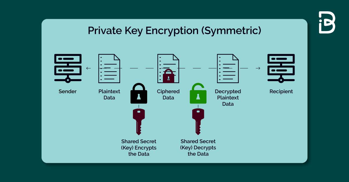 Public and Private Keys: What's the Difference? ImmuneBytes