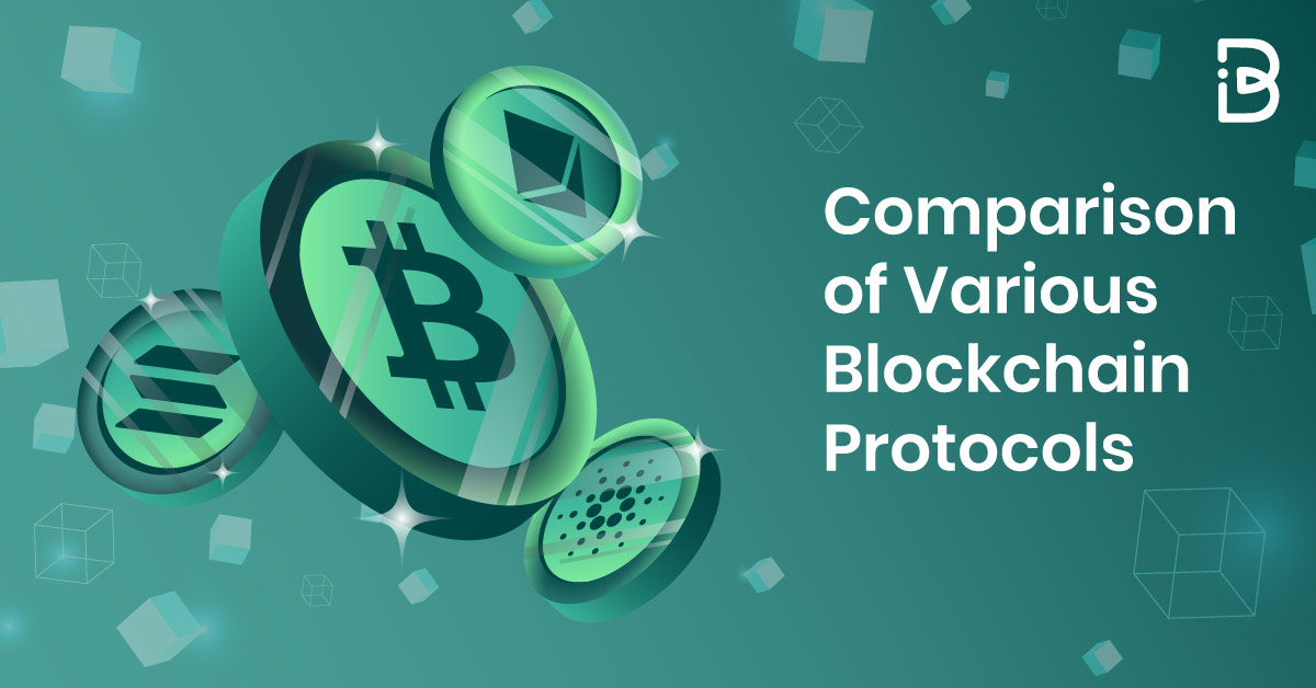 Comparison of Various Blockchain Protocols - ImmuneBytes